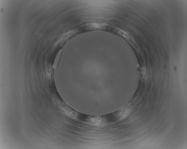 X0000068770423200604281243