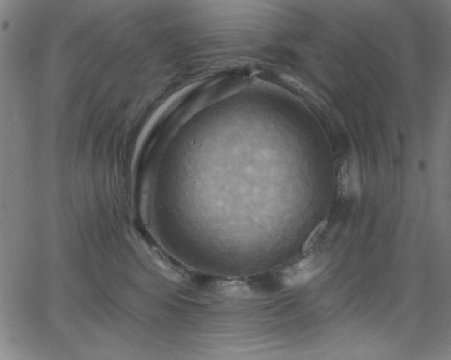 X0000068770424200604281243