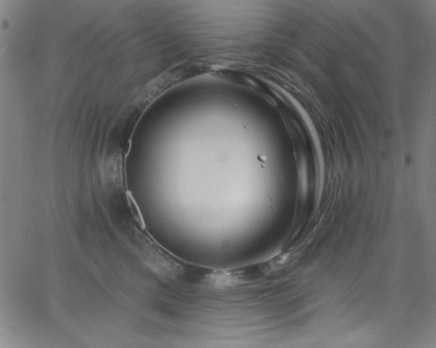 X0000068770425200604281243