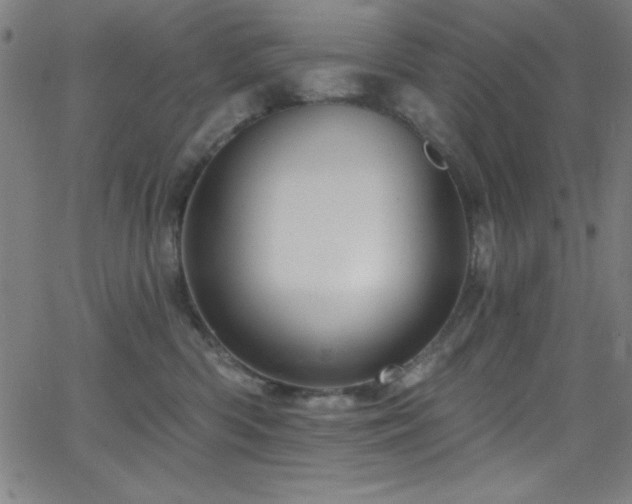 X0000068770426200604281243