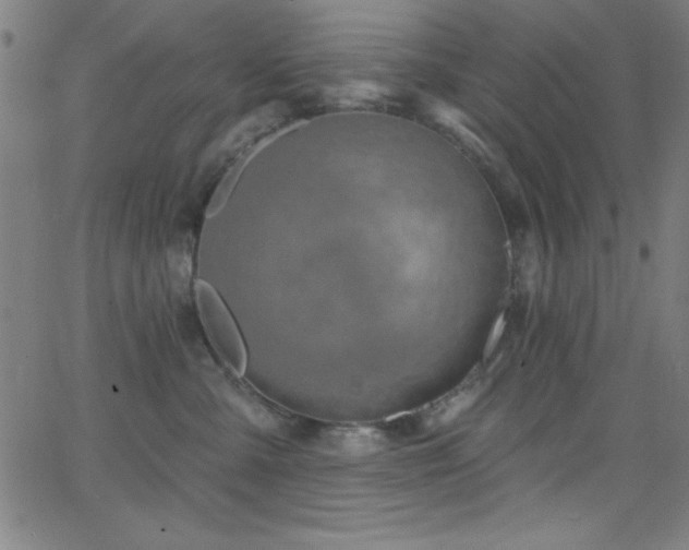 X0000068770427200604281243