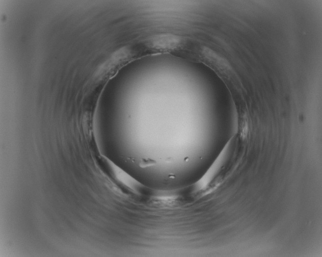 X0000068770428200604281243