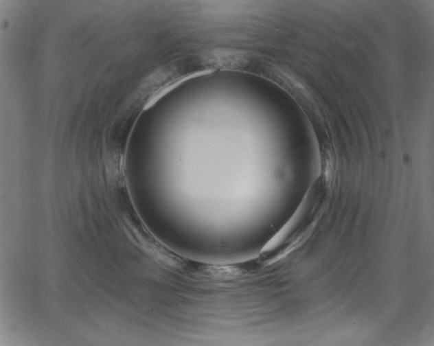 X0000068770429200604281243