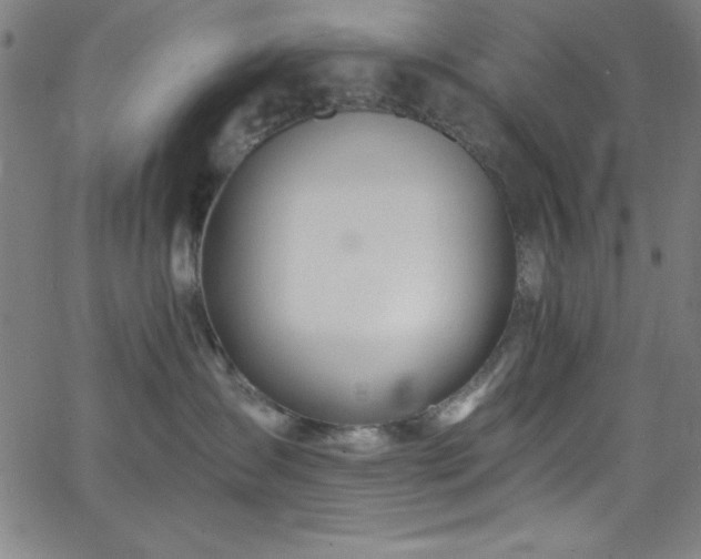 X0000068770431200604281243