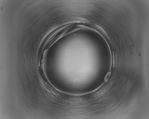 X0000068770435200604281242