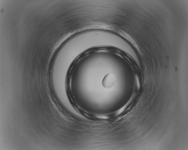 X0000068770436200604281242