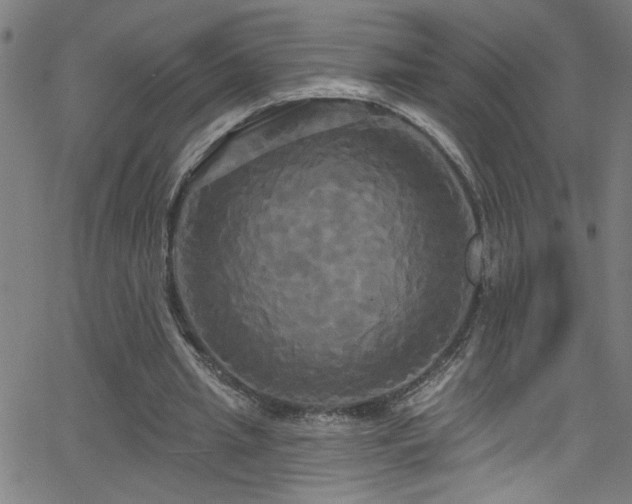 X0000068770437200604281242