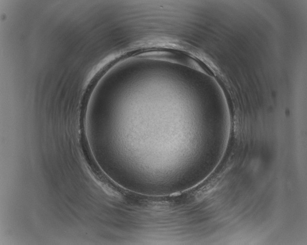 X0000068770438200604281242