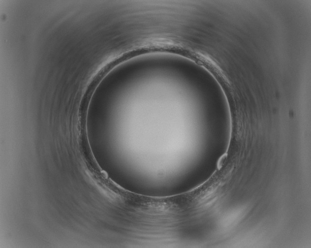 X0000068770439200604281242