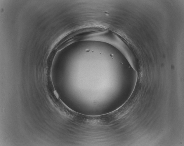 X0000068770440200604281242