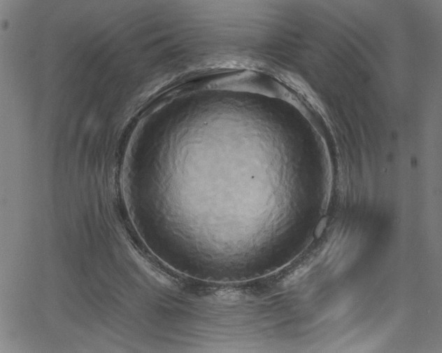 X0000068770441200604281242