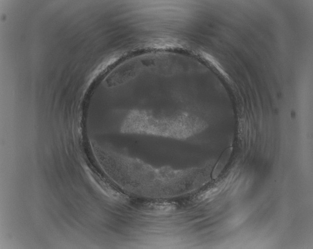 X0000068770443200604281242