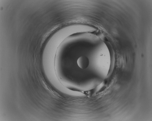 X0000068770446200604281242