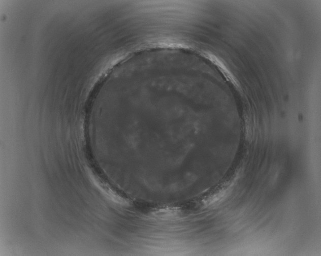 X0000068770447200604281242