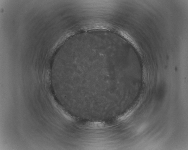 X0000068770449200604281242