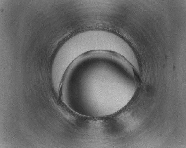 X0000068770450200604281242