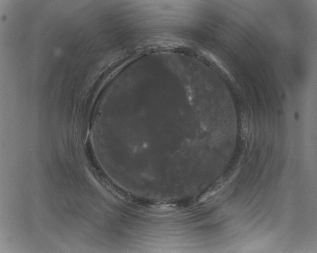 X0000068770451200604281242