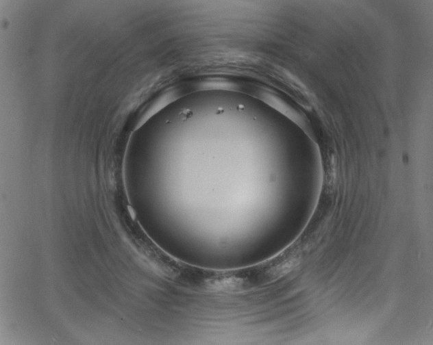 X0000068770452200604281242