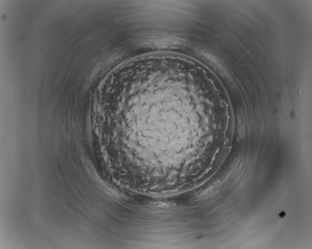 X0000068770453200604281242