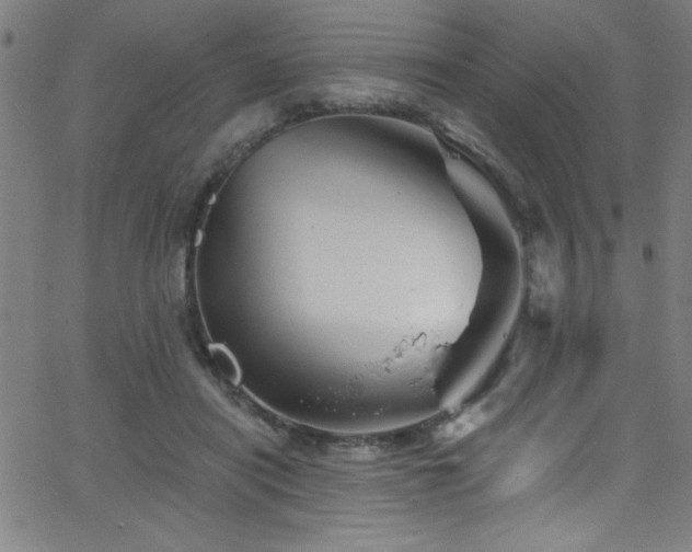 X0000068770454200604281242