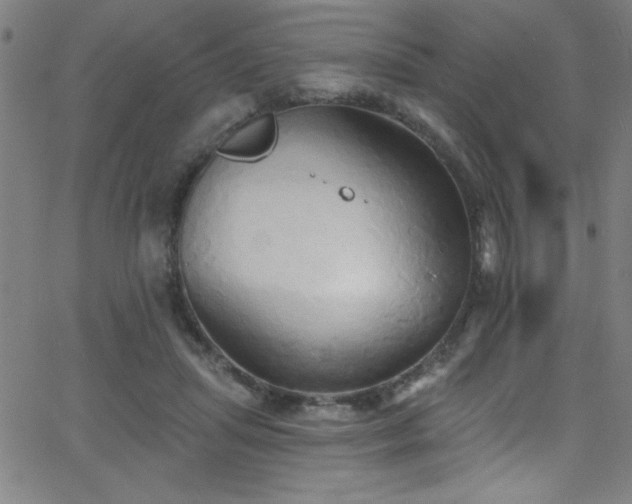 X0000068770455200604281243