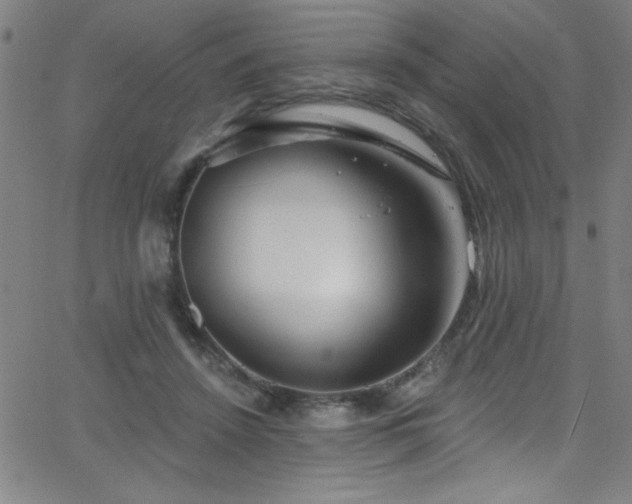 X0000068770456200604281243