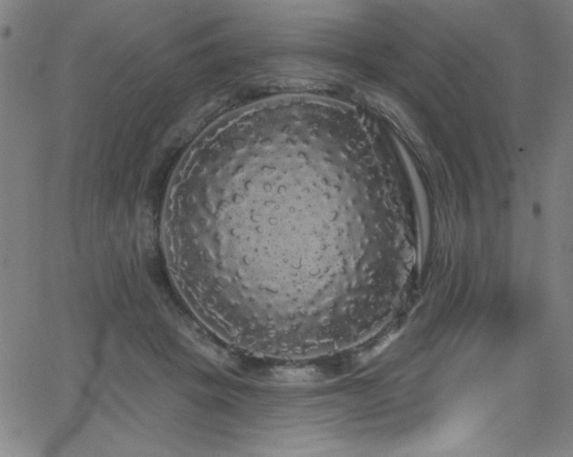 X0000068770457200604281243