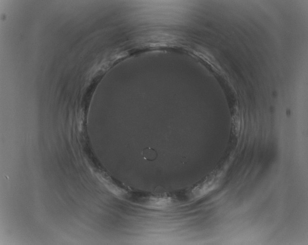 X0000068770458200604281243