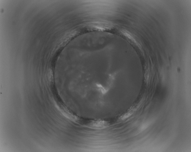 X0000068770459200604281243