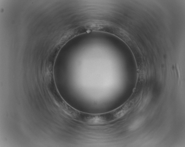 X0000068770460200604281243