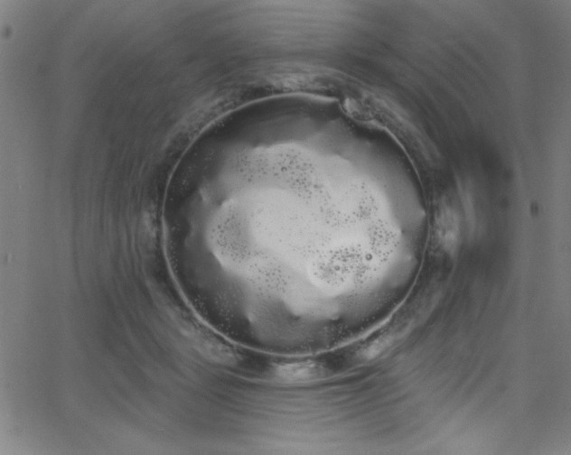 X0000068770461200604281243