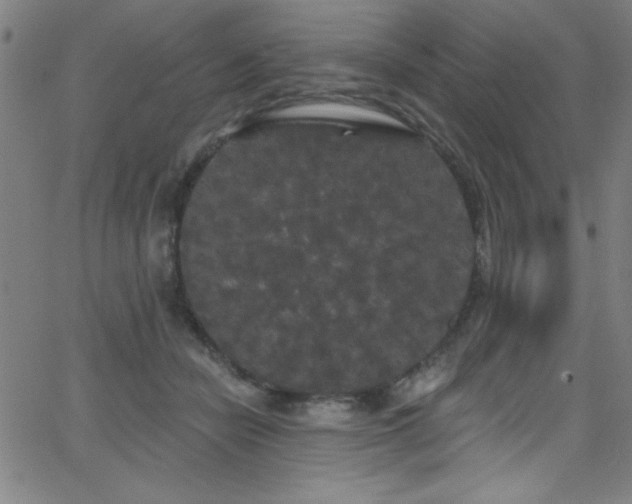 X0000068770462200604281243