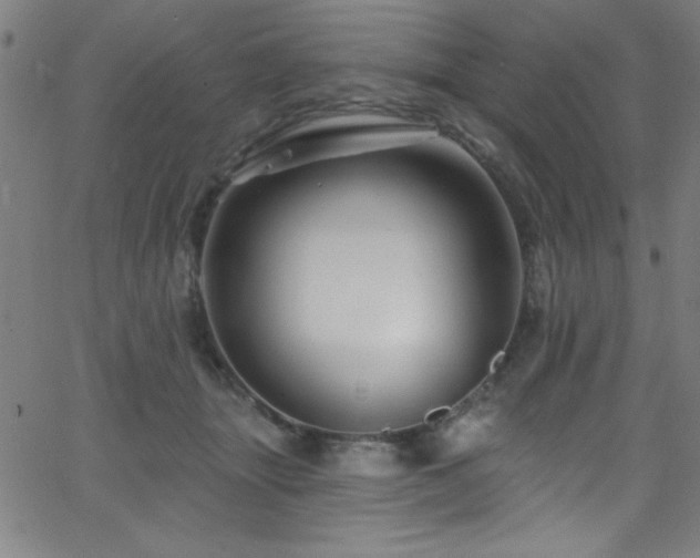 X0000068770463200604281243