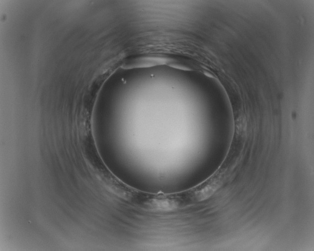 X0000068770464200604281243