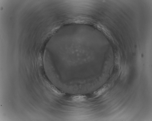 X0000068770465200604281243