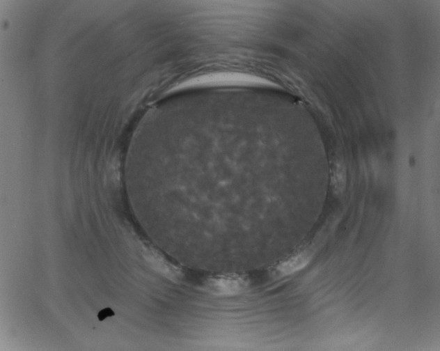 X0000068770466200604281243