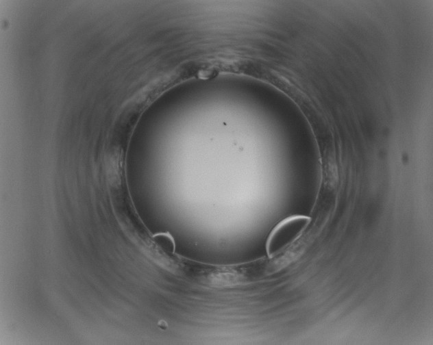 X0000068770468200604281243