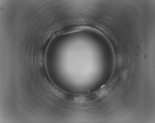 X0000068770470200604281243