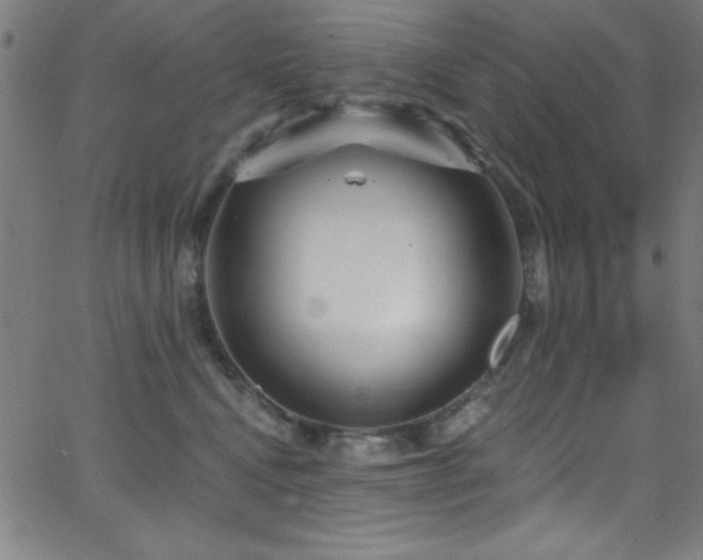 X0000068770472200604281243