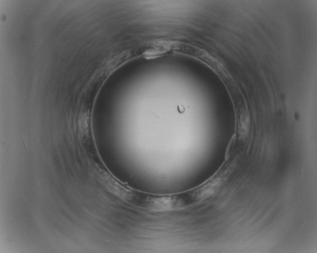 X0000068770473200604281243