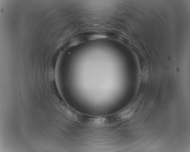 X0000068770474200604281243