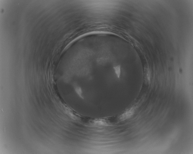 X0000068770475200604281243