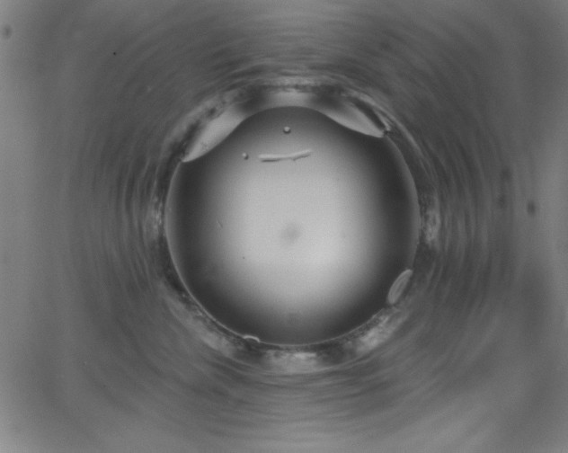 X0000068770476200604281243