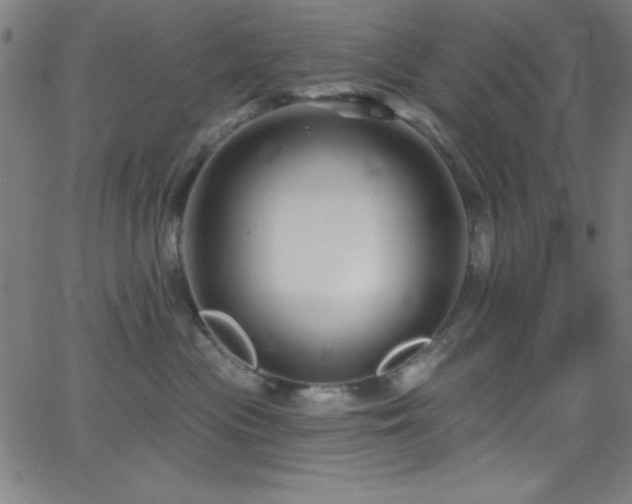 X0000068770477200604281243