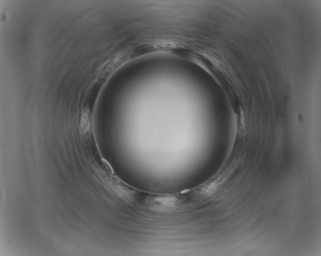 X0000068770478200604281243