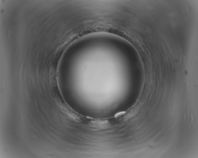 X0000068770480200604281243