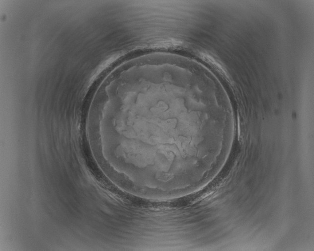 X0000068770483200604281242