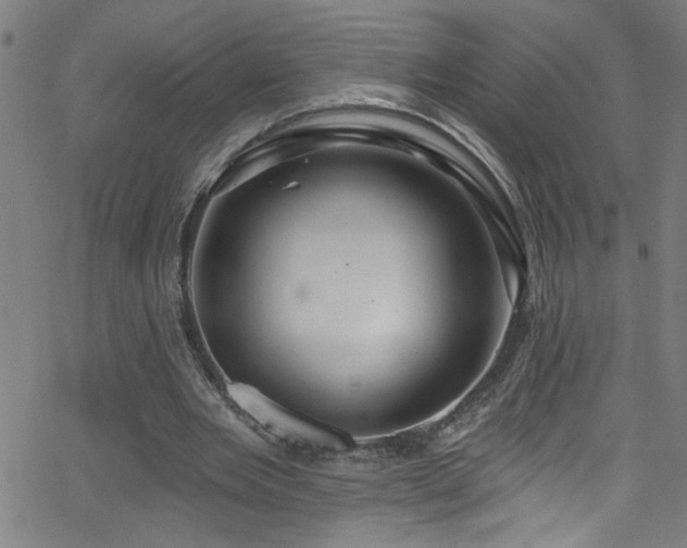 X0000068770485200604281242