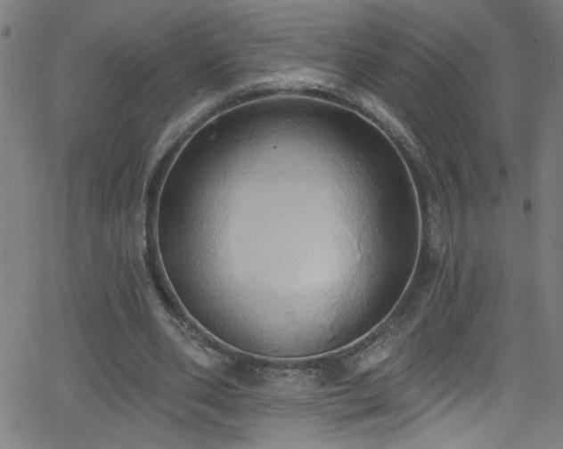 X0000068770486200604281242