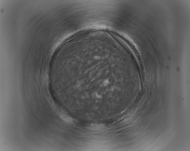 X0000068770487200604281242